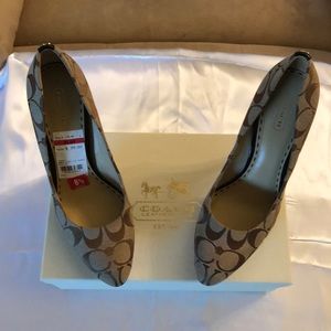 Brand New in Box Coach Caya 12CM Sig Khaki/Brown